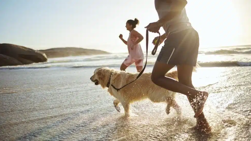Dog and healthy owners running on the beach for pet waste removal page