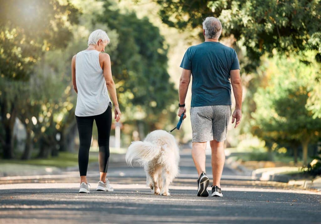 two elderly people walking a dog vary based feeding eaten normal diet food