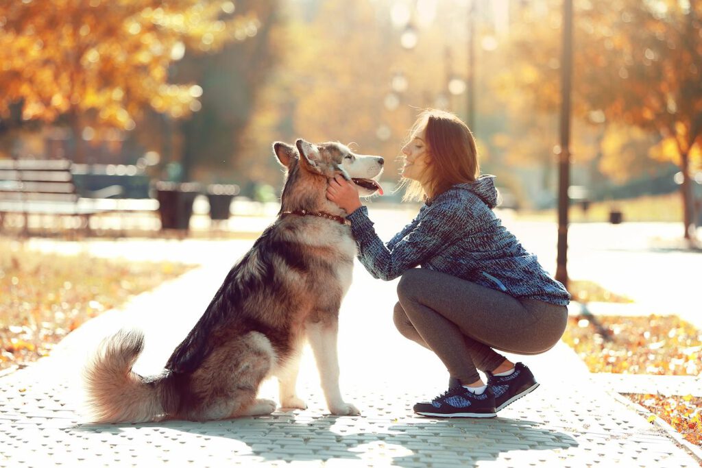 woman petting her big dog left side few steps free time animals collar treat pulling treat pull dogs