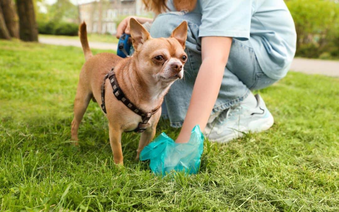 5 Ways To Make Picking Up Dog Poop Not So Terrible