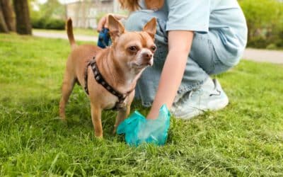 5 Ways To Make Picking Up Dog Poop Not So Terrible