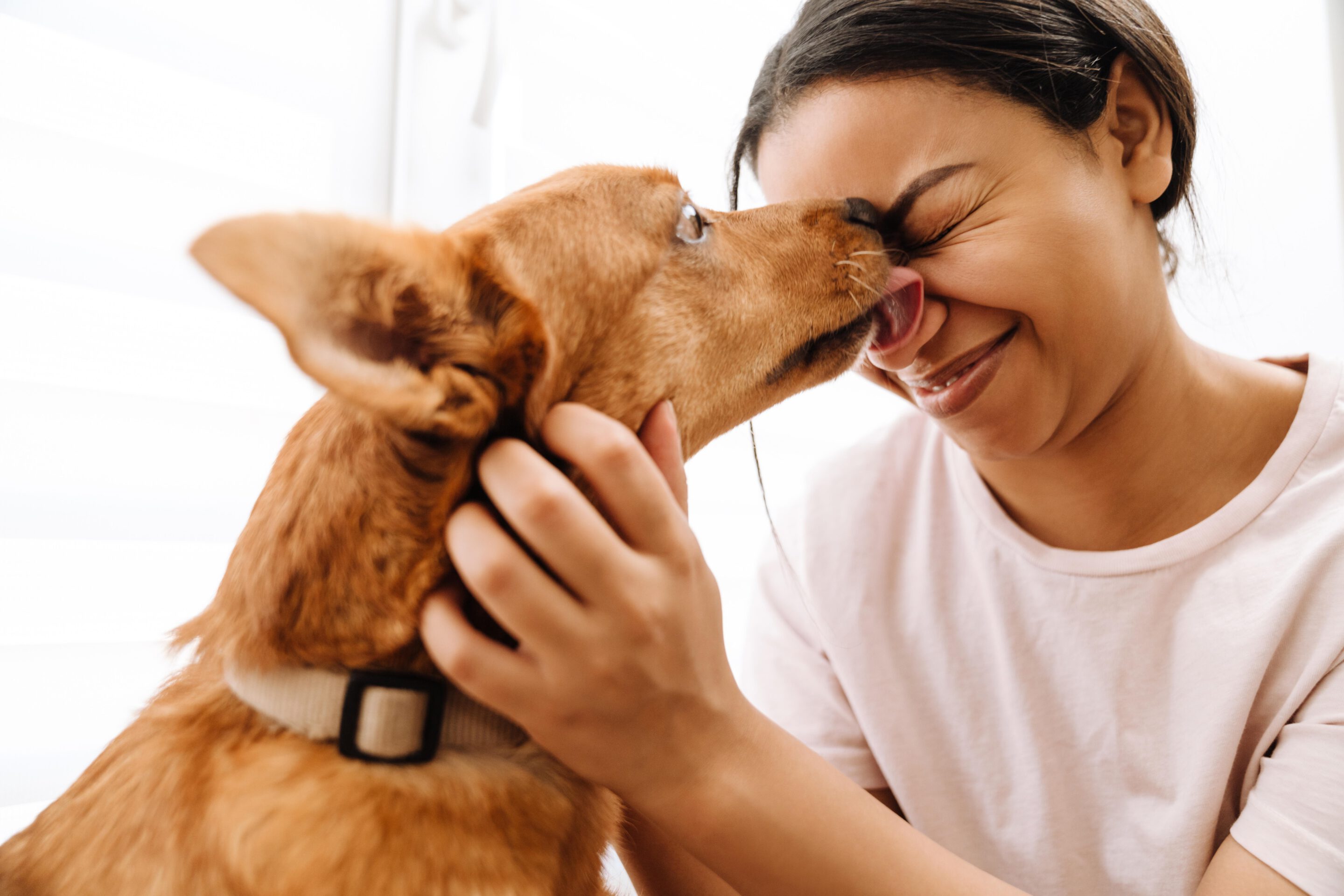 dog licking a human's face puppies puppies dog dogs puppy puppies puppy lick dogs dog lick dogs dog lick dogs dog dogs dog