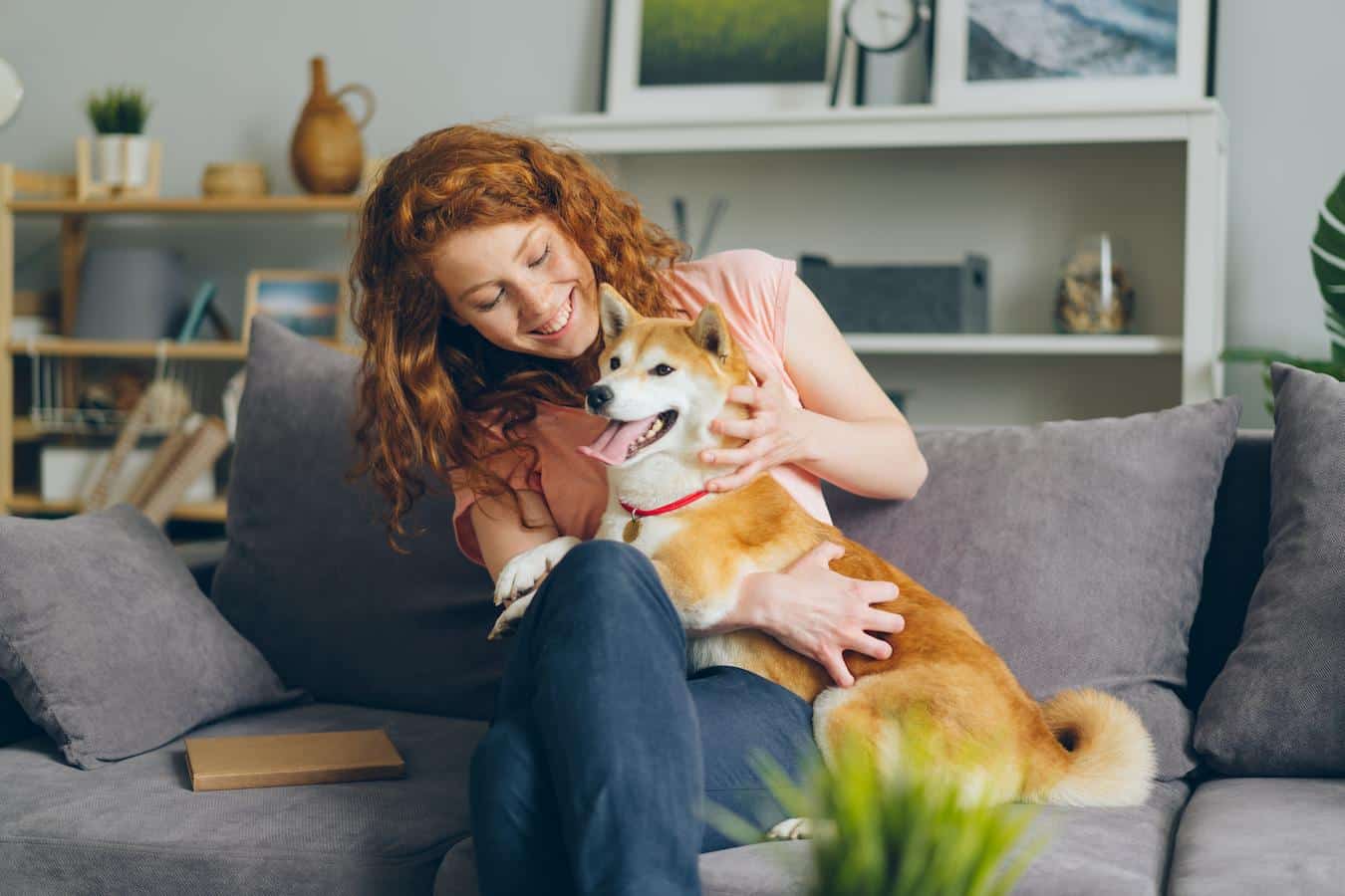 girl cuddling a dog companionship anxiety life pet dog's owners person humans owner dog's bred house owners person owners dogs dogs dogs dogs