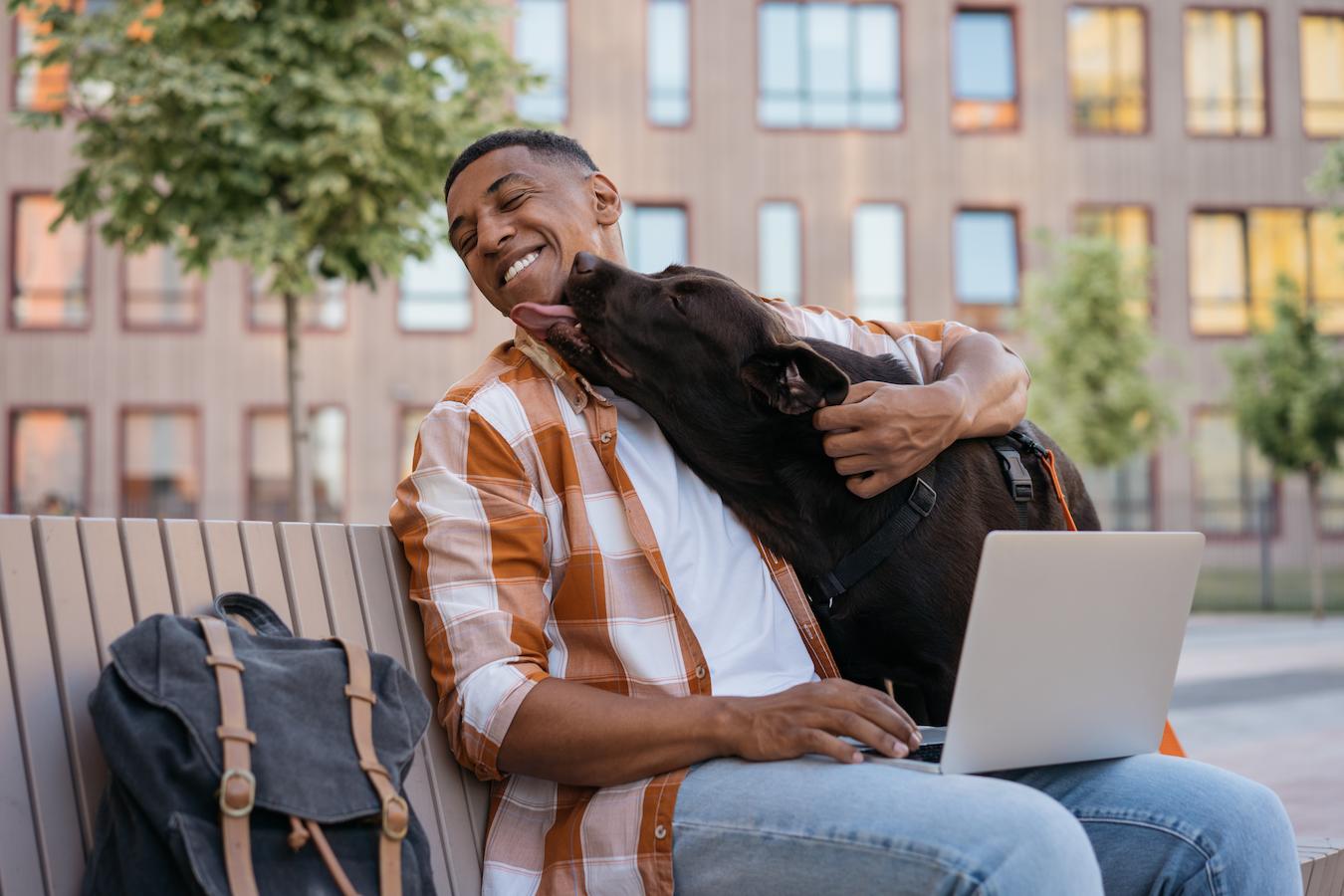 man with his dog outside dog to lick wild canids showing affection ear wax taste good dog is licking may lick grooming body parts