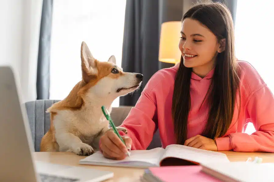 If Your Dog Made New Year’s Resolutions for 2025