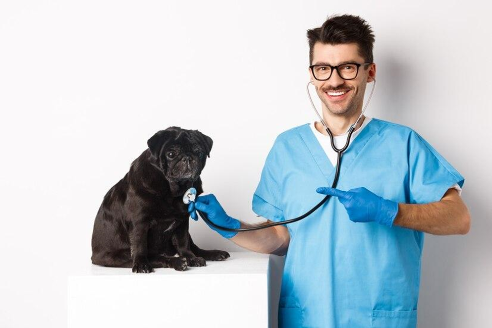 Building Blocks for a Thriving Veterinary Clinic