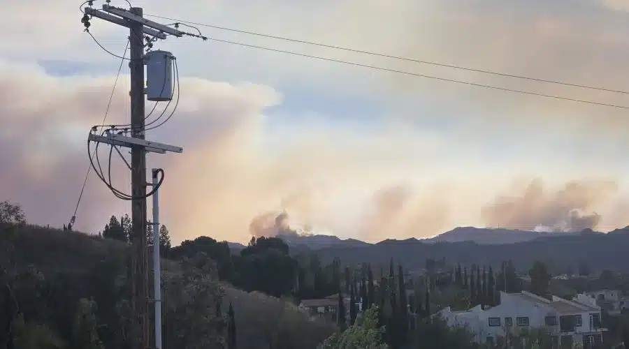 How to Keep Your Pet Safe During Wildfires: Essential Tips for Pet Owners