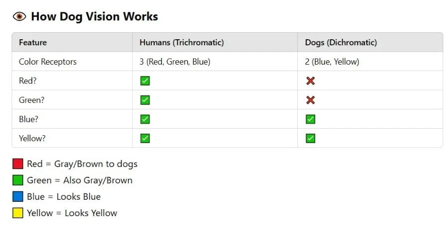 image of infographic about how dog's vision work and why dogs are color blind
