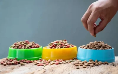 10 Best Grain-Free Dog Foods of 2025