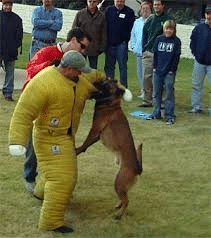 Dog bite suit at an aPaws sponsored pooper scooper convention.