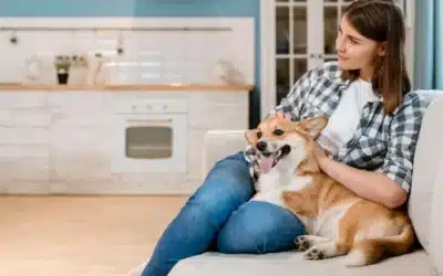 How to Support Your Animals Through Big Transitions