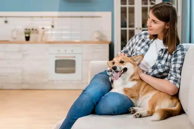 image of a dog on a couch with a lady comforting her dog.