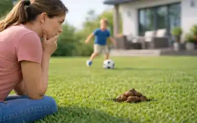 Can You Get Sick from Dog Poop in Your Yard?