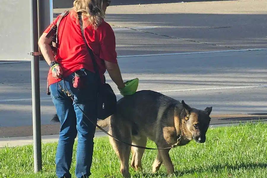 What Happens If You Don’t Pick Up Dog Poop?