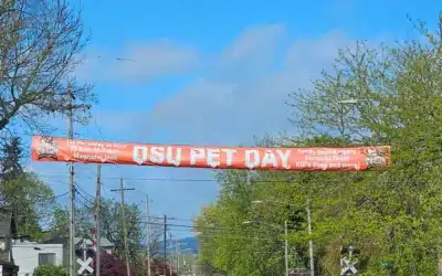 OSU Pet Day 2026: A Tail-Wagging Good Time (and a Fresh Start for Salem Pet Parents)