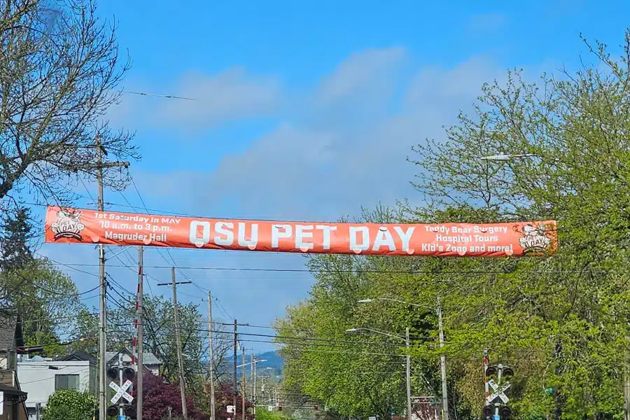 OSU Pet Day 2026: A Tail-Wagging Good Time (and a Fresh Start for Salem Pet Parents)