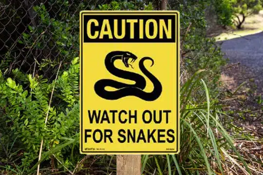 Image watch out for snakes sign for Scoop Masters dog poop pick up service in Frisco, Texas