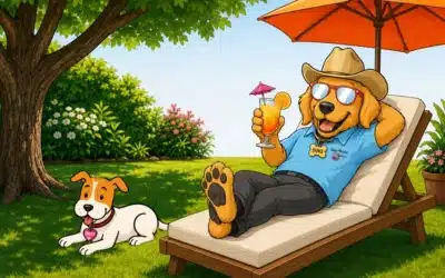 Summer Heat and Dogs: How to Keep Your Pet Safe at Home, Outside, and in Hot Cars