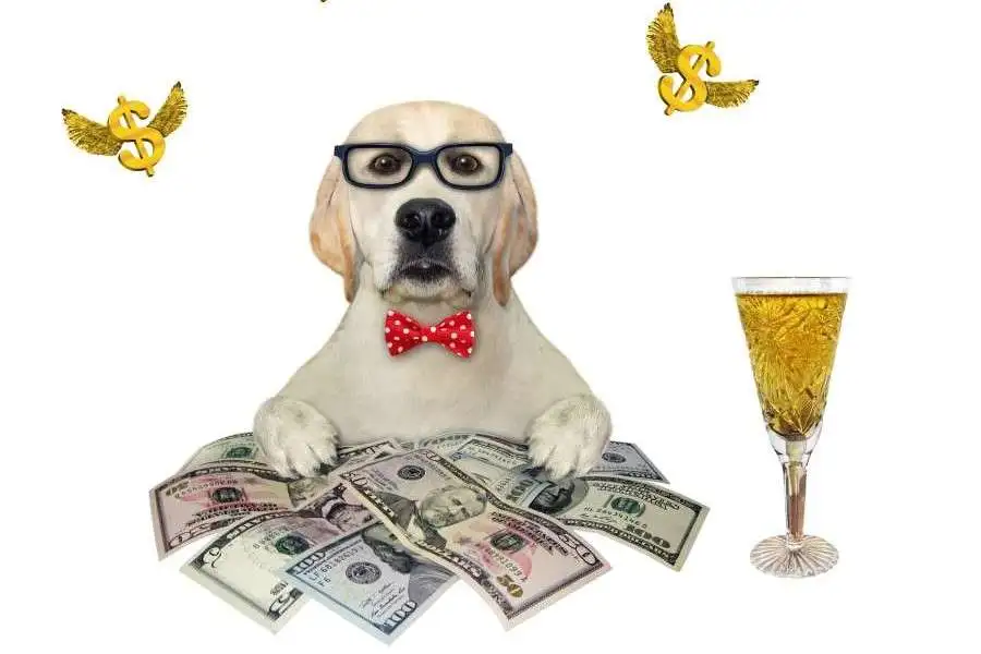 The Hidden Costs of Owning a Dog Nobody Talks About